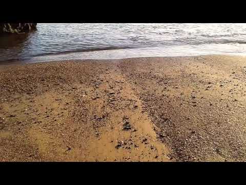 shankwal   sea   beach...