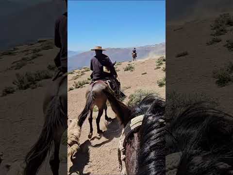 Arrieros de la cordillera de Valparaíso Putaendo Chile Rodeo de ganado
