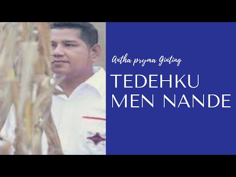 ANTHA PRYMA GINTING-TEDEHKU MEN NANDE II official video lirik II