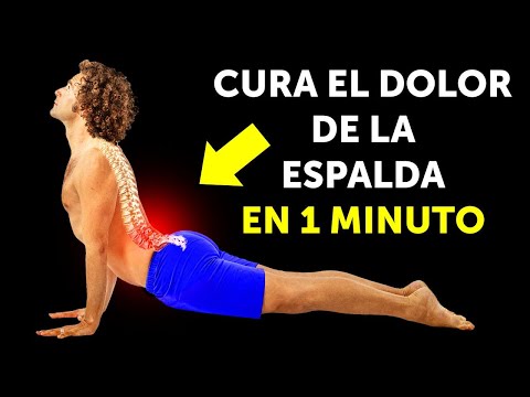 Entrenamiento De 10 Minutos Para Fortalecer Los Músculos De La Espalda