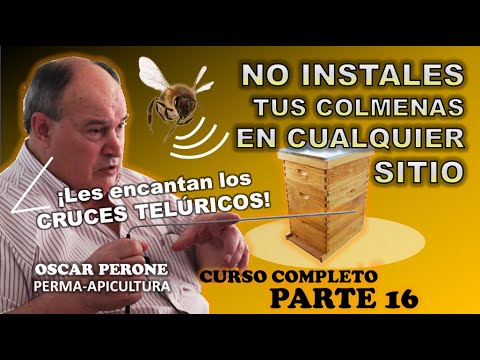 (Parte 16) IMPORTANCIA DE LA RADIESTESIA EN APICULTURA, Colmenas y Cruces Telúricos - Curso 2023