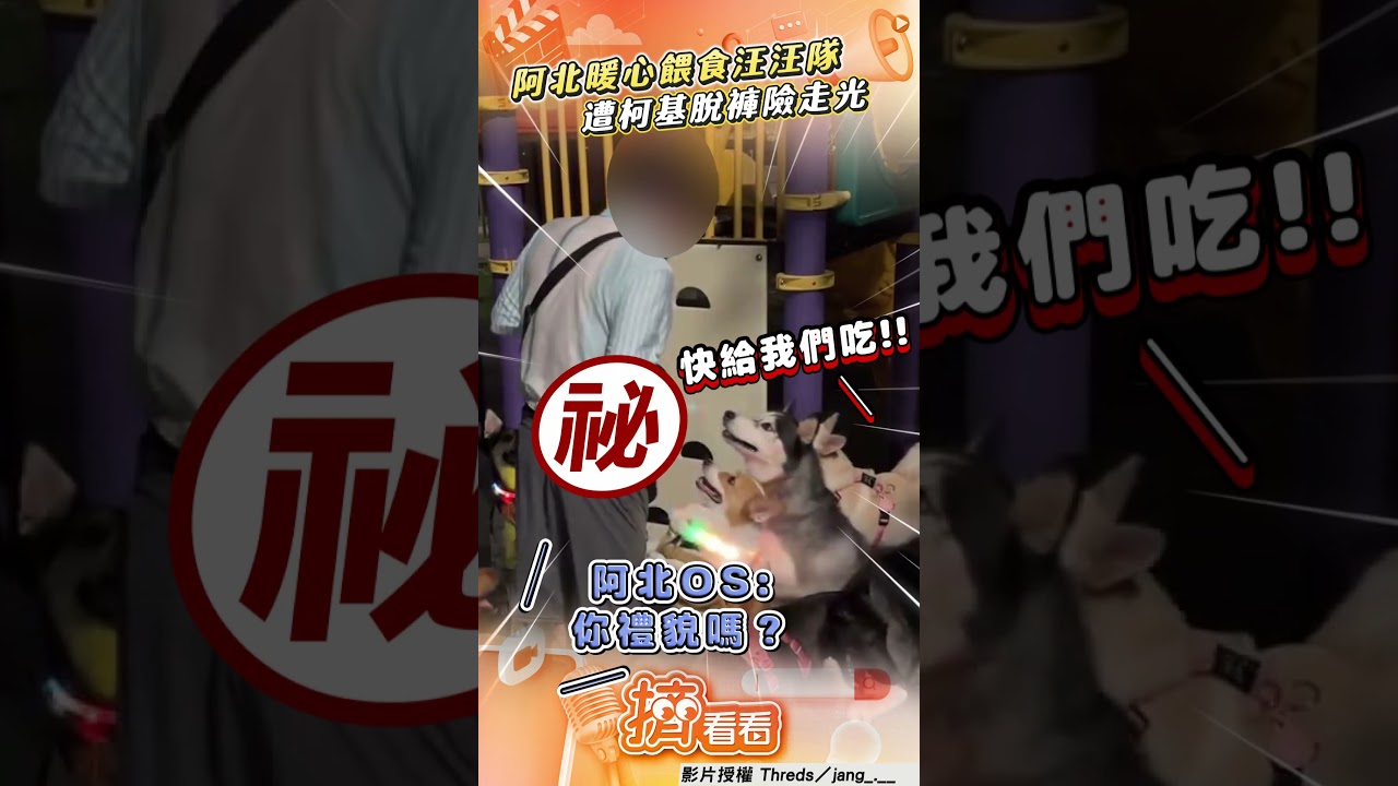 影音/阿北餵食汪汪隊喊「握手」 遭柯基「脫褲術」險走光網笑翻
