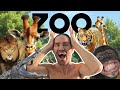 COSTICA ȘI BOGDAN MOCANU LA ZOO Bonus VICENZO ȘI COSTICĂ AU BĂUT PREA MULT