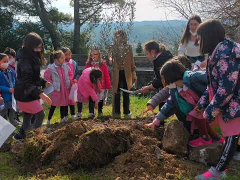 Anteprima: Festa degli Alberi