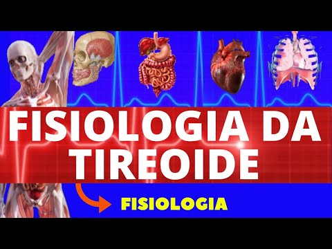 THYROID PHYSIOLOGY - GUYTON PHYSIOLOGY - (THYROID HORMONES T3 AND T4) HUMAN PHYSIOLOGY