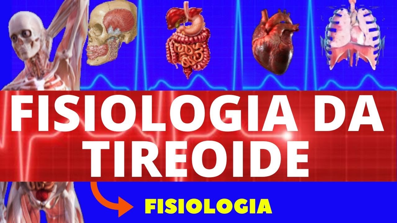 FISIOLOGIA DA TIREOIDE - FISIOLOGIA DE GUYTON - (HORMÔNIOS DA TIREOIDE T3 E T4) FISIOLOGIA HUMANA