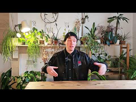 Part 5 - Jazz & Lindy Hop Trainings - Music & Tempo