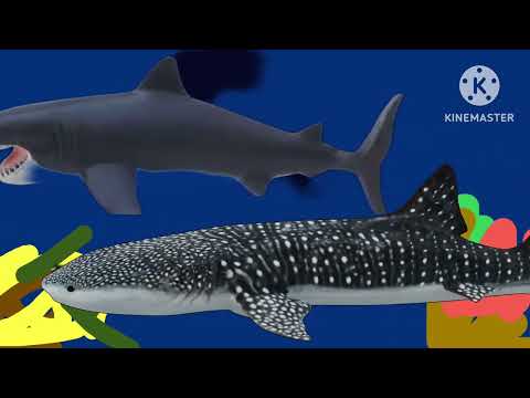 Prehistoric sea life exclusive 2