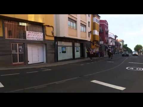 Carreras de caballos san Mateo 21/09/15 9