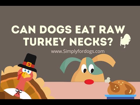 Can Dogs Eat Raw Turkey Necks?