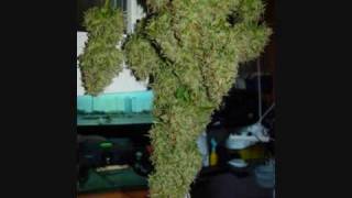 16 Horsepower-Brimstone Rock