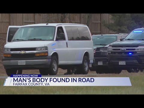Man found dead on Fairfax County Parkway median, police say