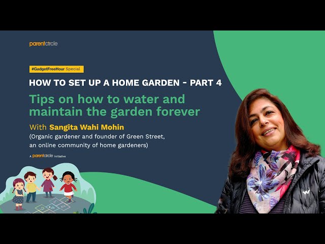 How to set up a home garden – Part 4: How to water and maintain the garden