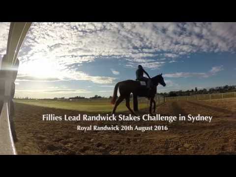 Godolphin Weekend Runners Update - Saturday, 20 August 2016 - Royal Randwick