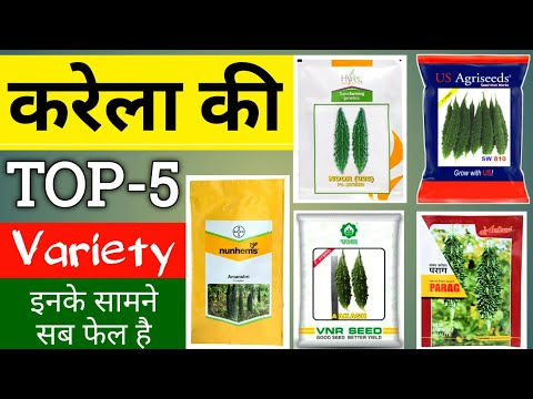 Vegetable Seeds