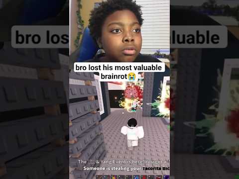 kay crashed out over pipi kiwi