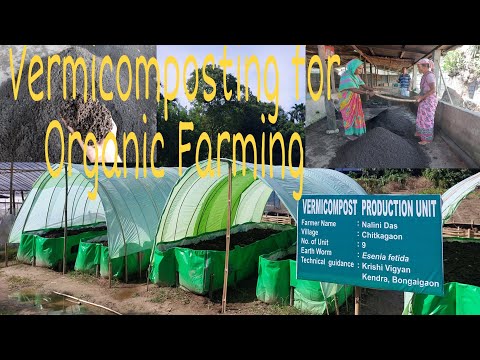 Vermicompost production