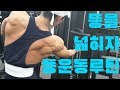 쌈상의 운동일기 ep.45 [D-16 등운동루틴]