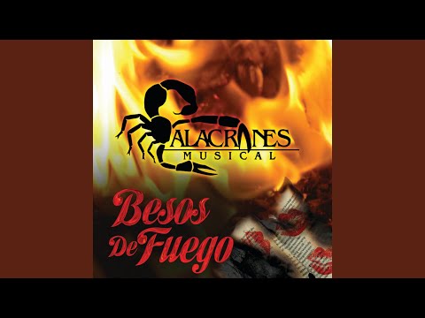 Te Busqué video