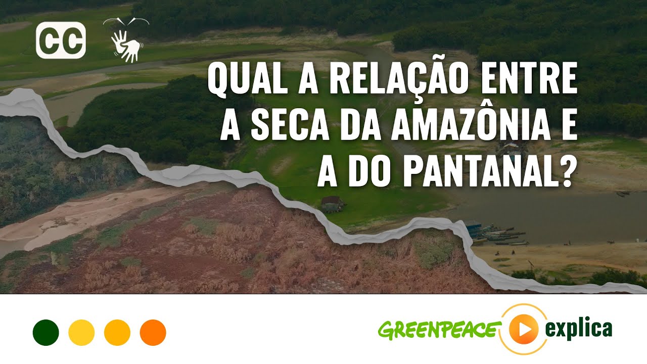 Qual a relação entre a seca da Amazônia e a do Pantanal? - Greenpeace Explica