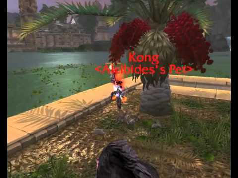 A daily and a gank gone wrong!