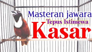 Download lagu Full tembakkan kasar | Tepus leher putih Gacor ‼ mp3 Download lagu Full tembakkan kasar | Tepus leher putih Gacor ‼ mp3
