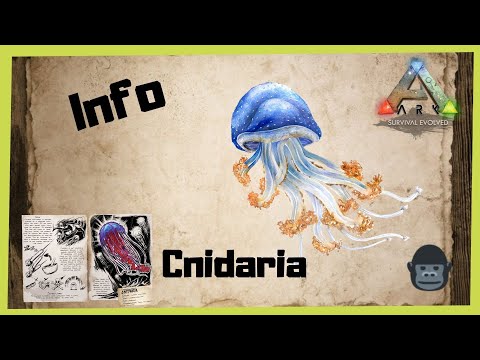 🦖ARK‬ Survival Evolved 🦖  Cnidaria  Info 2022 [/Taming/INFO/ GUIDE/Deutsch/Dinos zähmen]