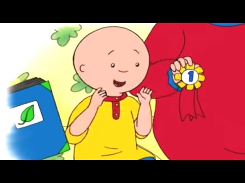 Caillou 306 - Dancing at Grandma’s / Mystery Valentine  / Play Ball! / Dogsled Ahead!
