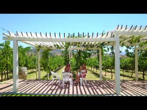 Temecula wineries trip