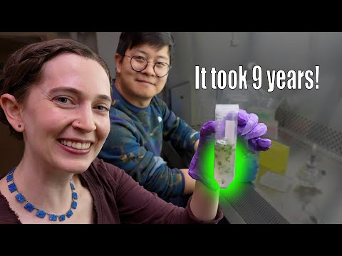 I finally changed this plant's genes