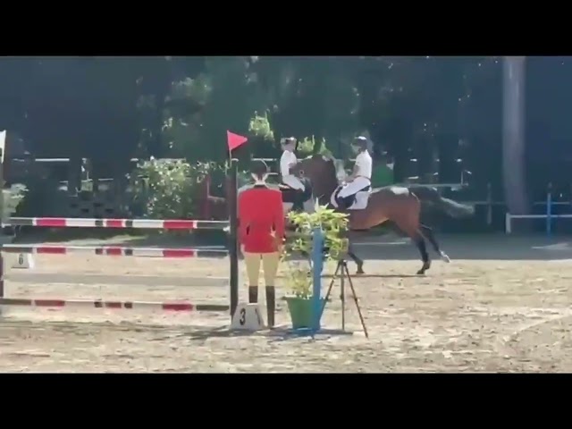 Daylight figlia diretta Diamant de Semilly!