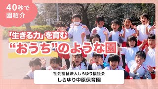 YouTubeの動画サムネイル