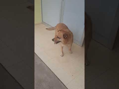 cuando fui ayer al pueblo Sarandí del yi de departamento de durazno Uruguay epic