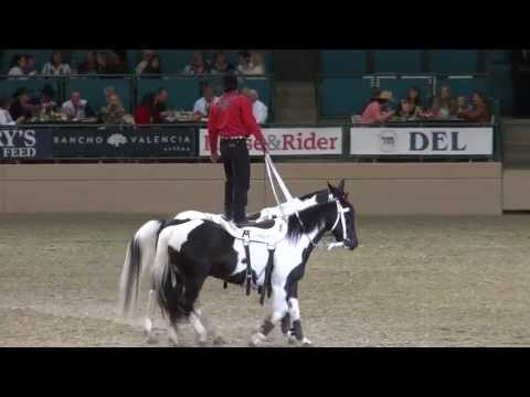 Tommie Turvey - Joker's Wild & Ace in the Hole - Night of the Horse 2013