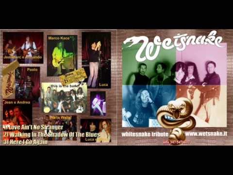 WetSnake medley 2005