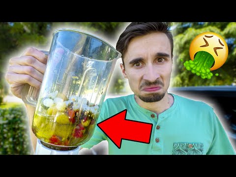 I FRULLATI PIÙ DISGUSTOSI DEL MONDO!! Smoothie Challenge