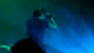AFI "Rabbits are Roadkill on Route 37"