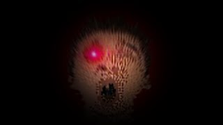 no running in the halls