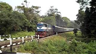 chilapata, elephant corridor, dooars, north bengal, west bengal, india