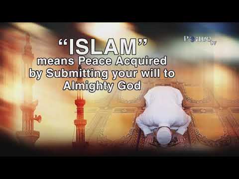 #islam mean By Dr zakir Naik