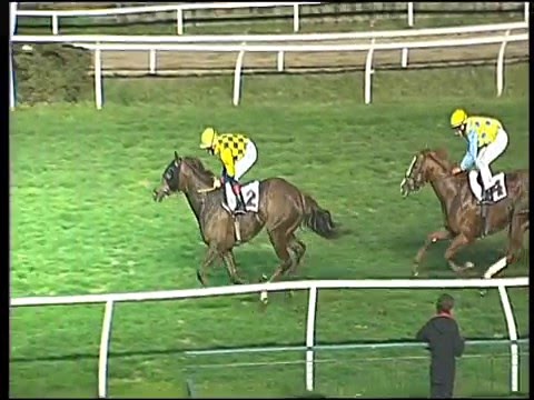 Galoppo 27/02/2016 - 6° corsa