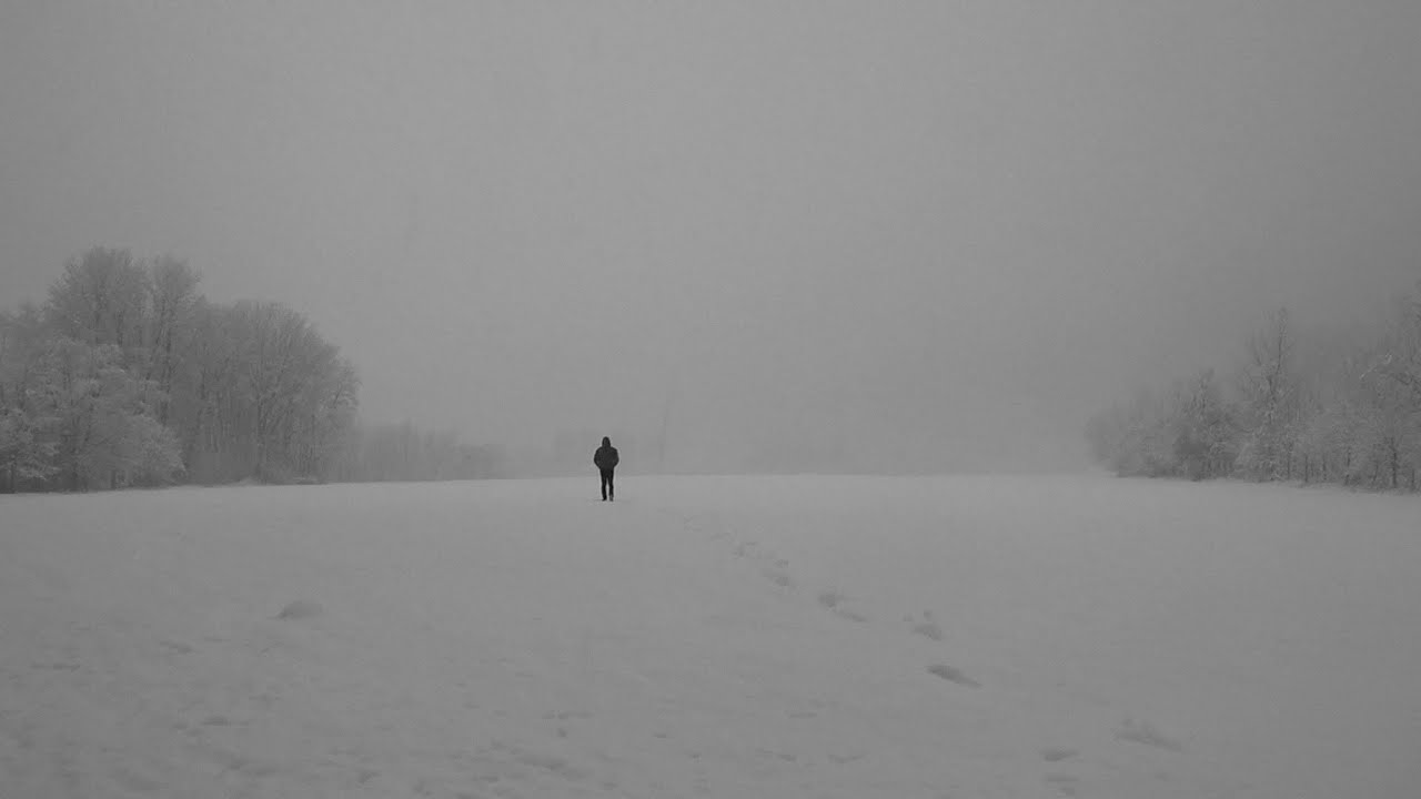 Geology of Separation – trailer | IFFR 2023