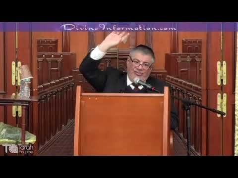 Rambam On The Noahide Laws | Rabbi Yosef Mizrachi