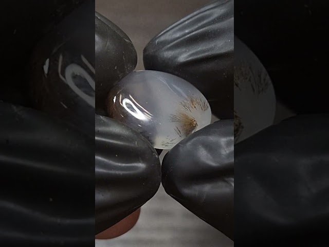 حجر عقيق مشجر طبيعي