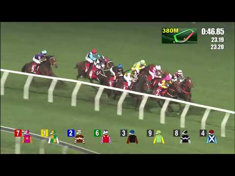 好眼光    21/11/10……(164)第六塲二班1200米