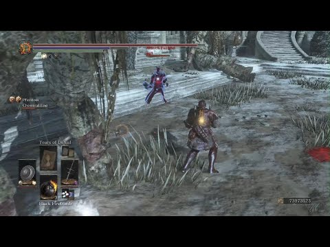 Frame Perfect Lock-On Parry.