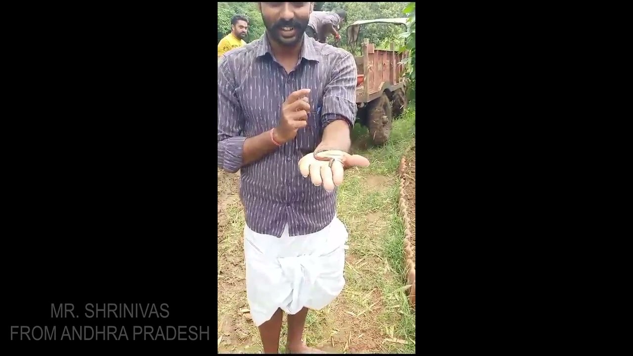 Feedback of trainees and visitors