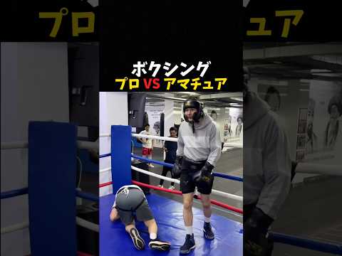 ボクシング プロVSアマチュア #ボクシング #格闘技 #boxing