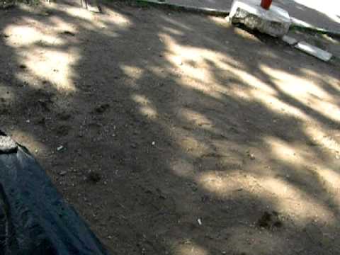 Trote Engenharia Química Unipampa - Bagé 20/03/2012 (Parte 5)