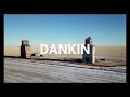 Dankin